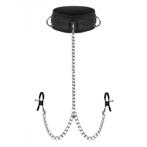 Submission - Collar and Nipple Clamp Union