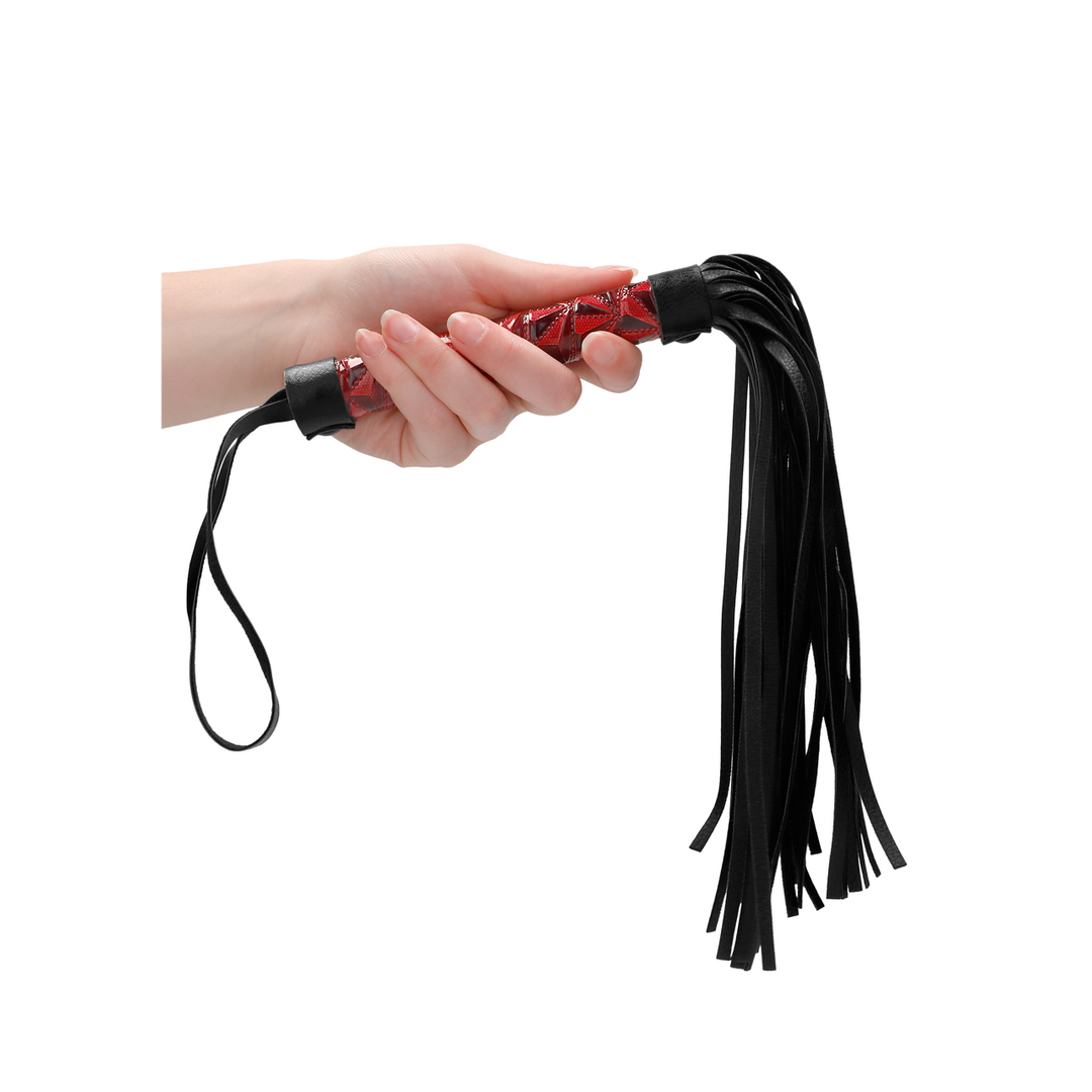 Whip - Image 5