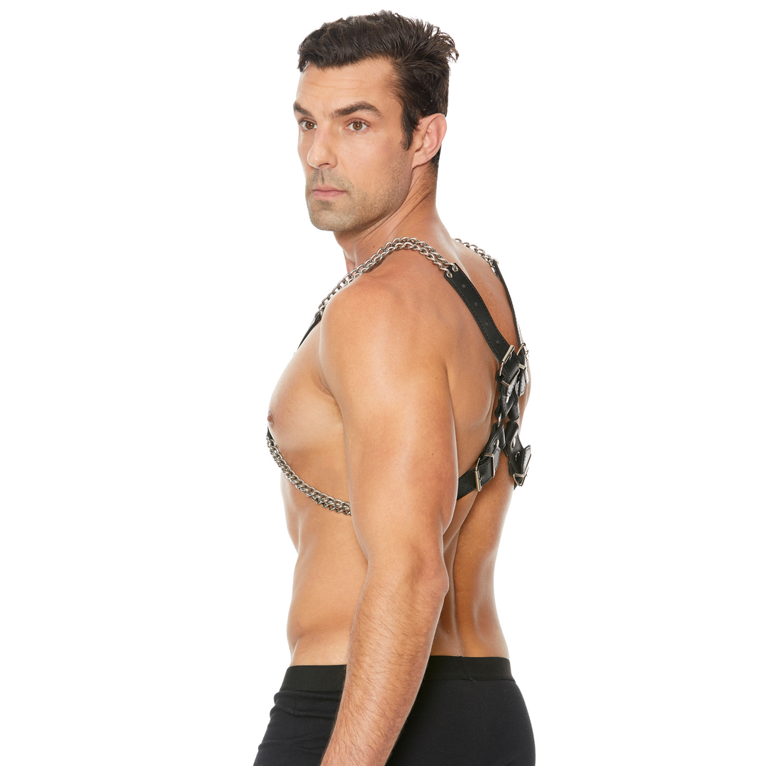 Chain and Chain Harness - Image 6