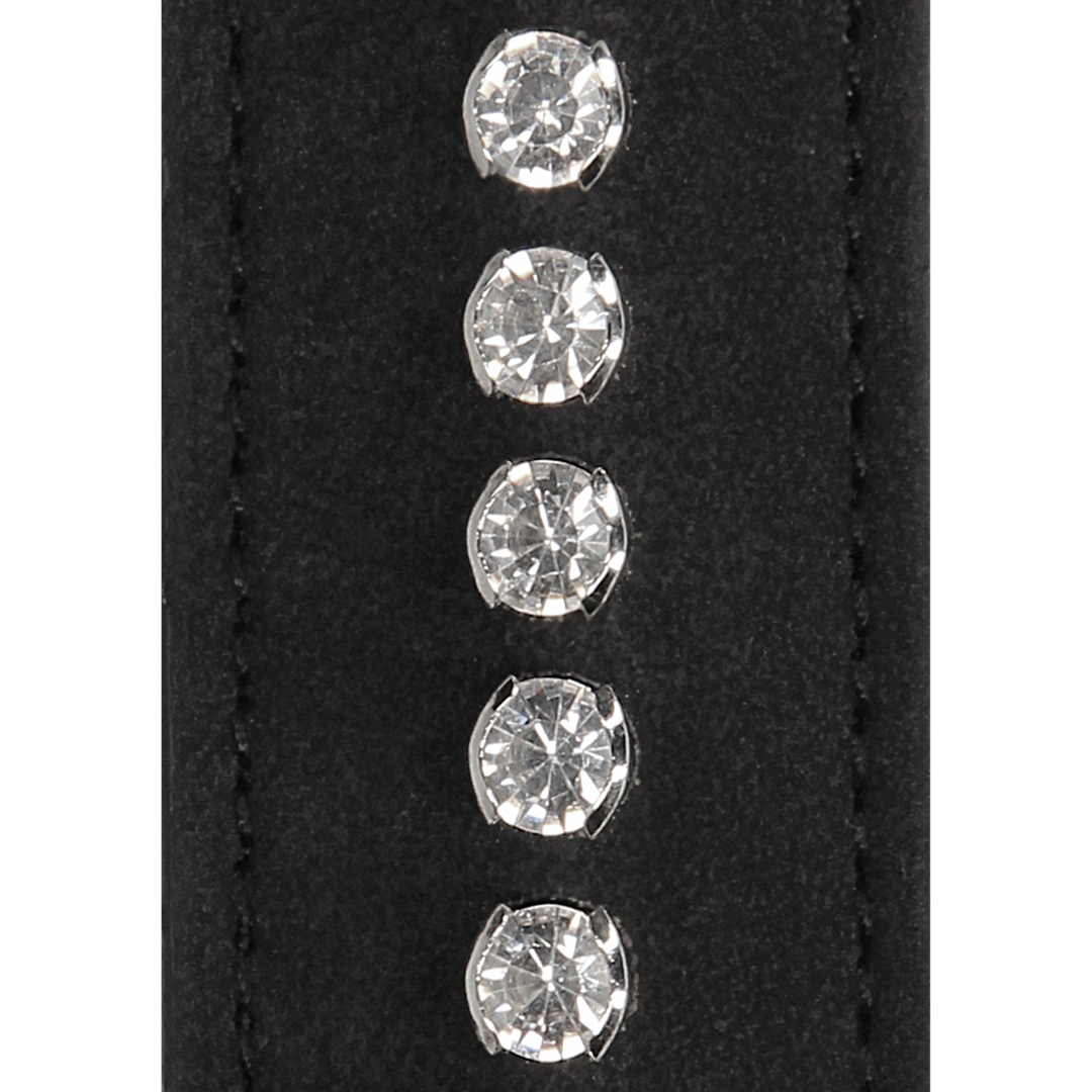Diamond Studded Collar with Leash - Image 7