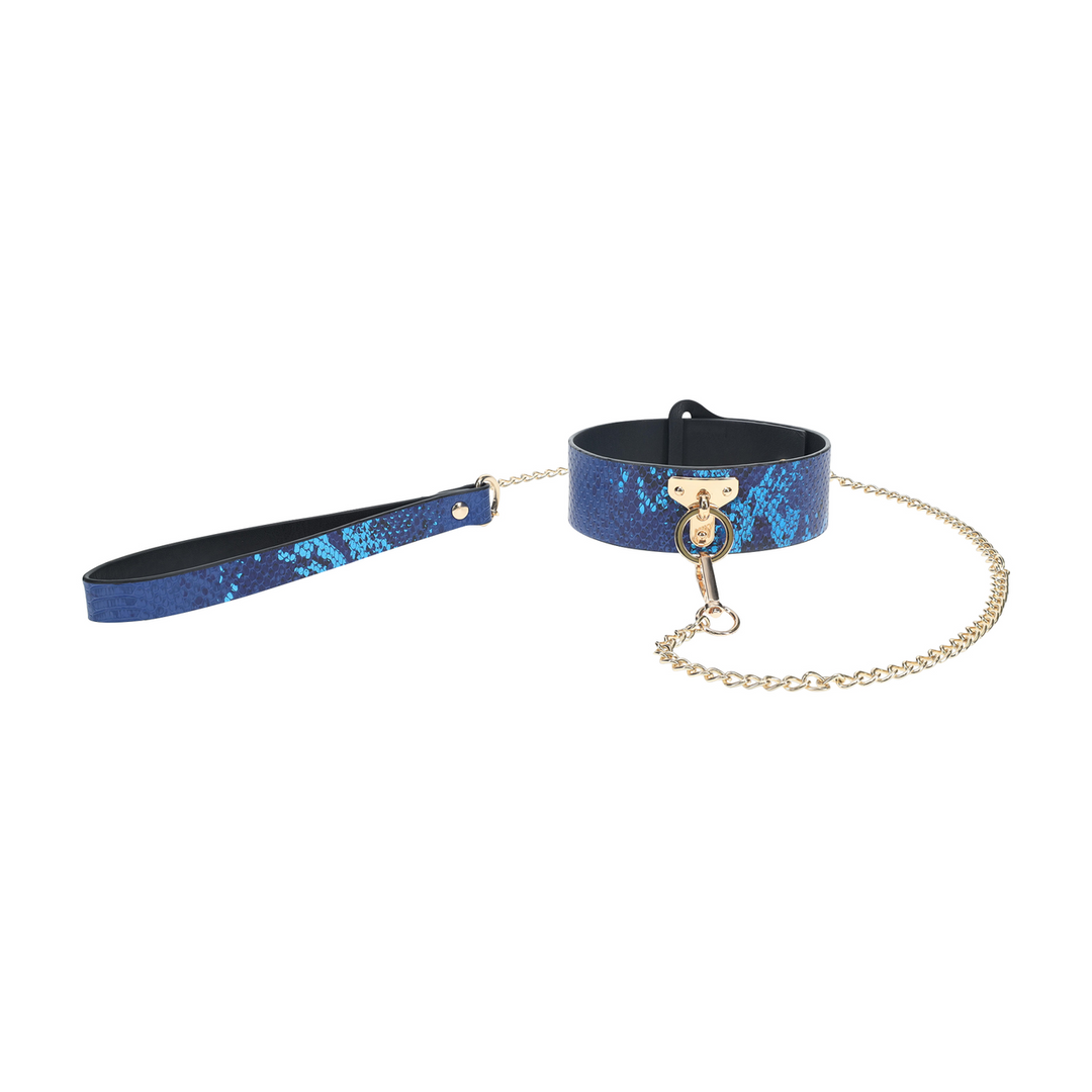 Florence Collection - Collar with Leash - Blue - Image 4