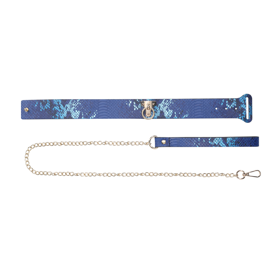 Florence Collection - Collar with Leash - Blue - Image 5