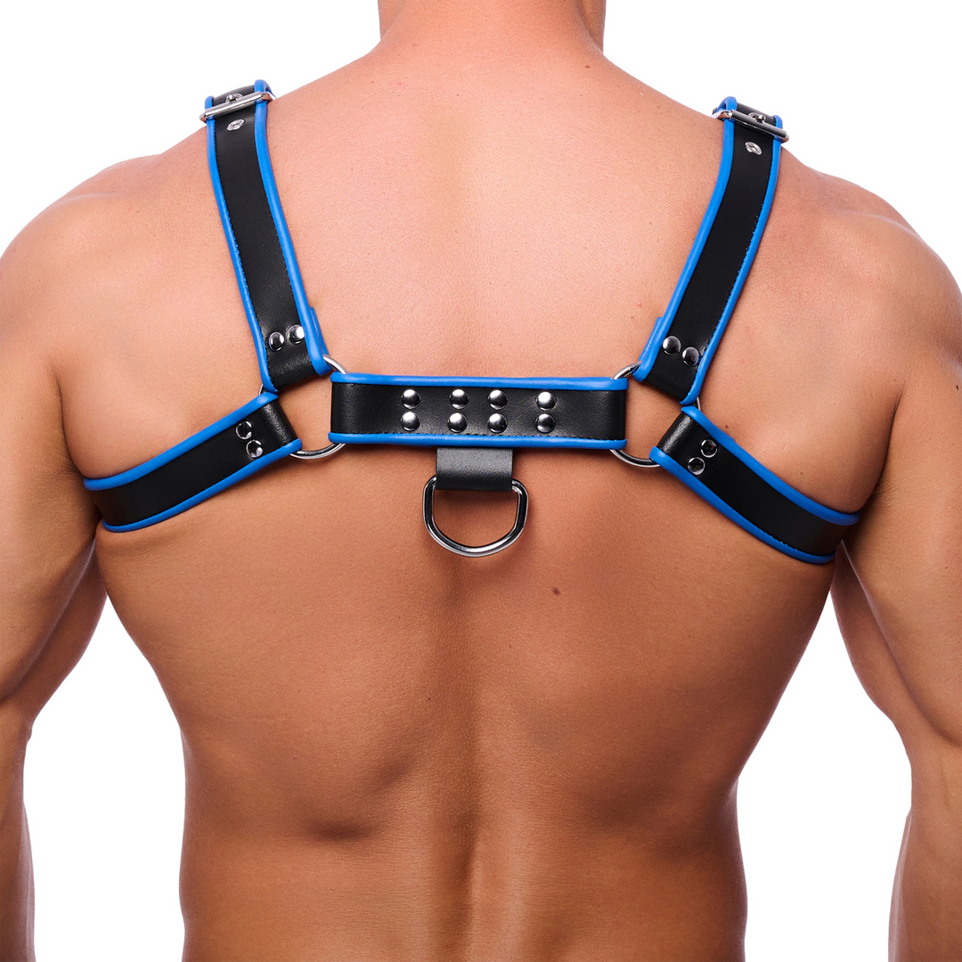 Premium Leather Harness - L/XL - Black/Blue - Image 2