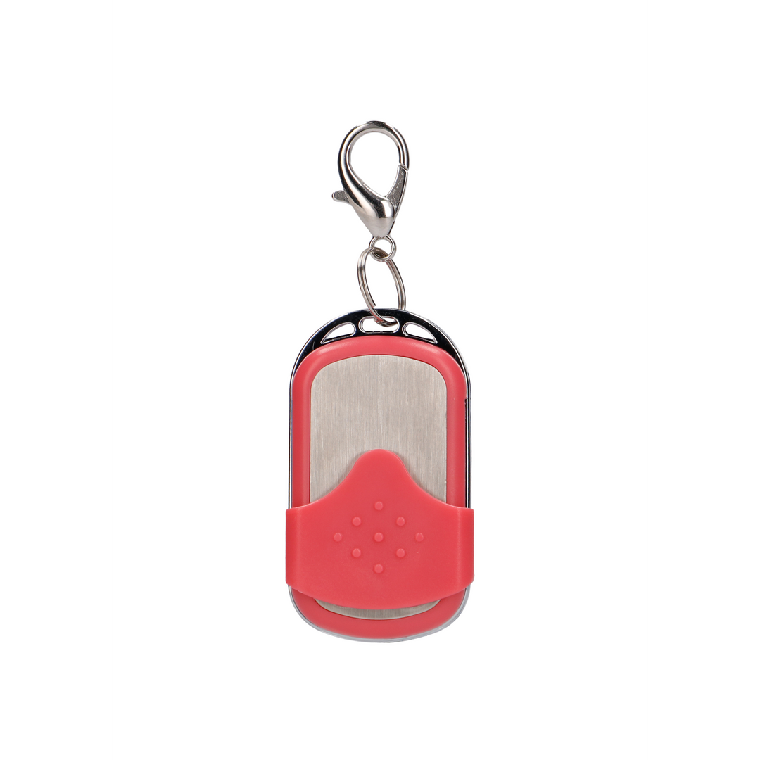 Vibrating Egg with 10 Speeds and Remote Control - L - Pink - Image 5