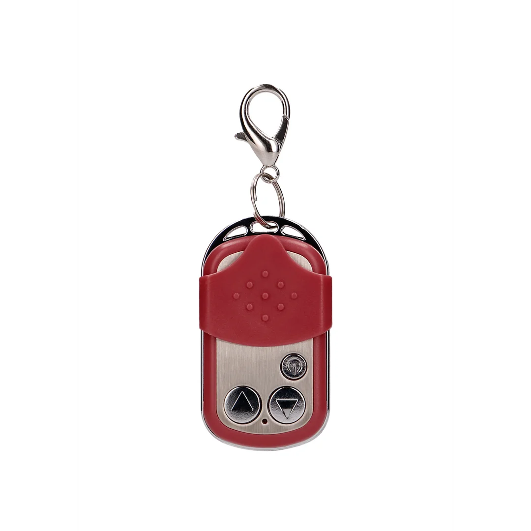 10 Speed Remote Vibrating Egg - Big - Red