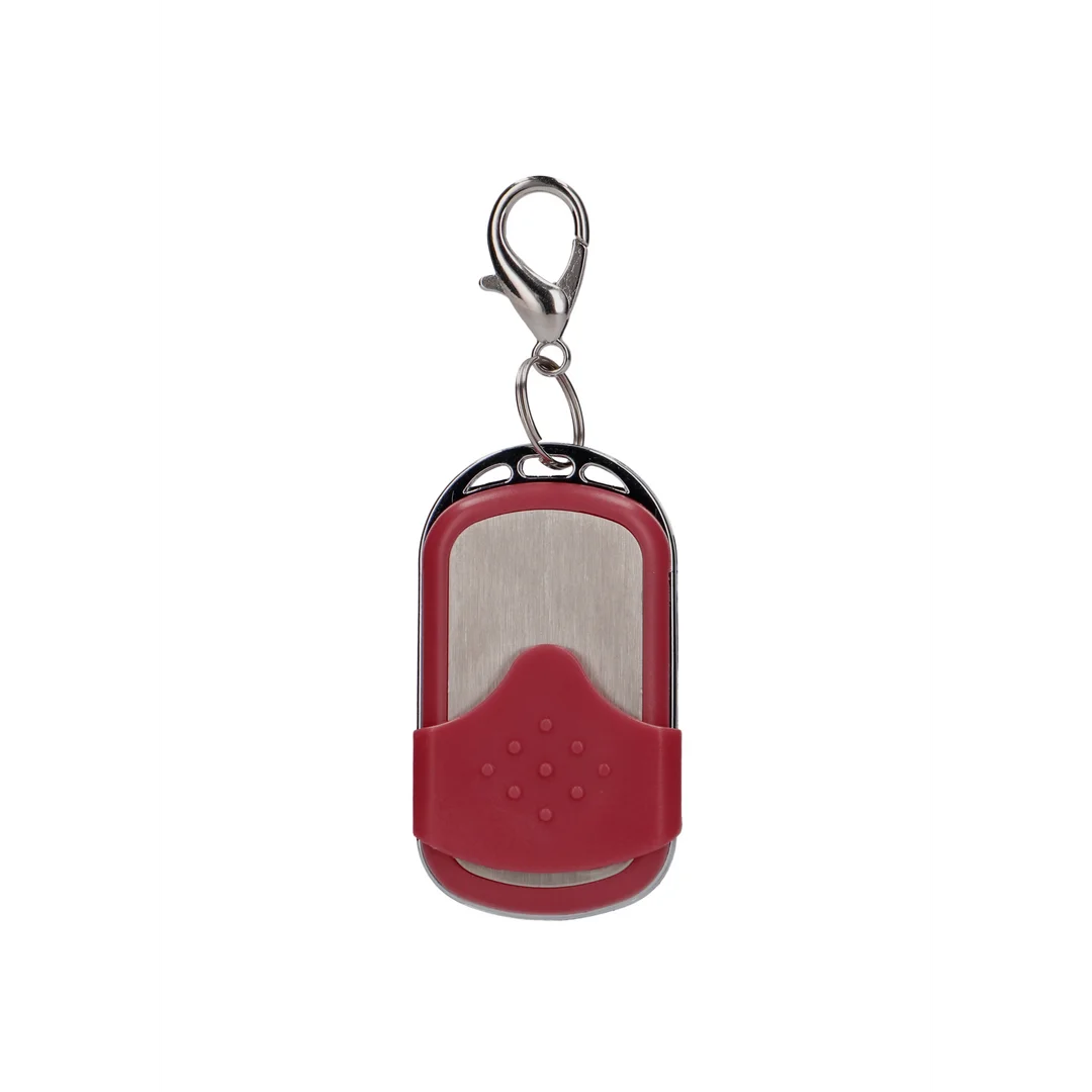 10 Speed Remote Vibrating Egg - Big - Red