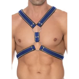 Z Series Scottish Harness - Black/Blue - L/XL